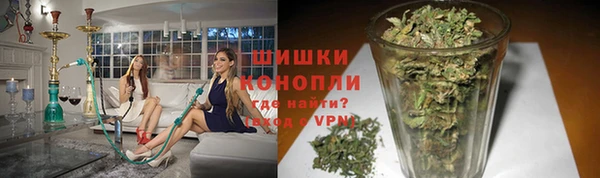 дживик Аркадак