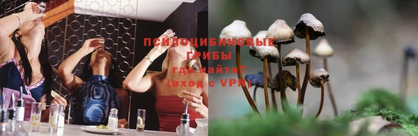 дживик Аркадак