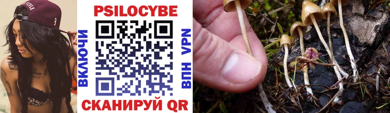 где купить наркоту  Муравленко  Псилоцибиновые грибы Psilocybe 